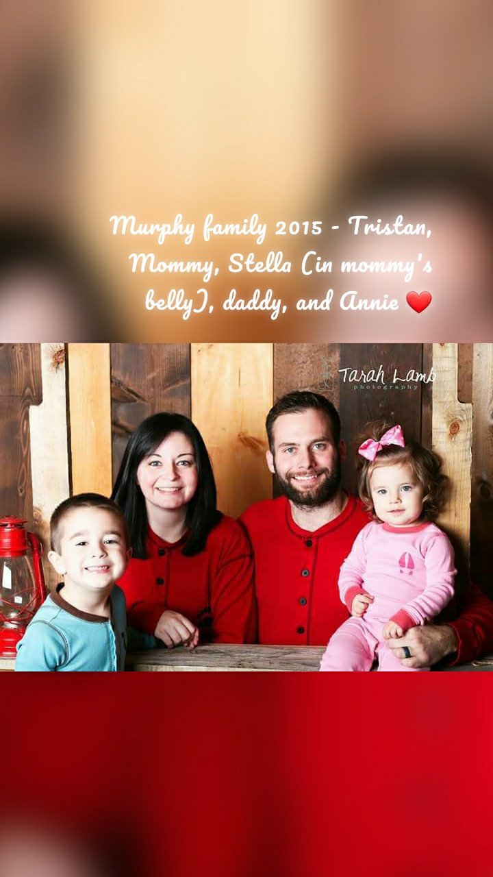 Murphy family 2015 - Tristan, Mommy, Stella (in mommy's belly), daddy, and Annie ❤













